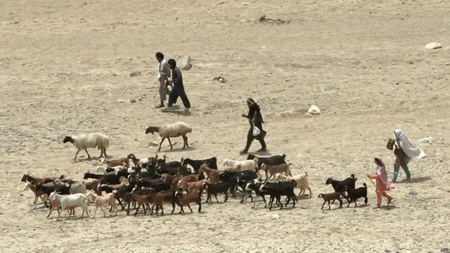 راستوں میں بھوک پیاس اور دیگر مشکلات کے باعث اب تک ہلاکتوں کی اطلاعات بھی ہیں۔