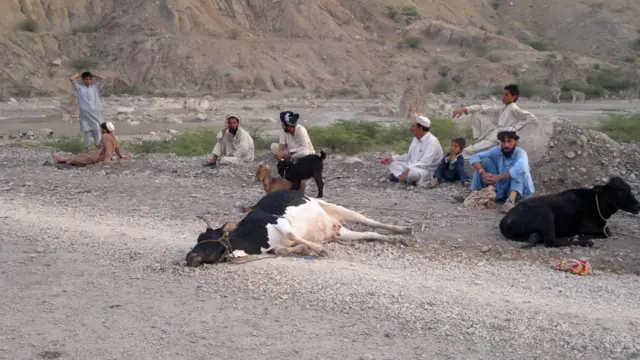 سفر کی مشکلات کے دوران متاثرین کو اپنے مویشیوں سے بھی ہاتھ دھونا پڑا۔