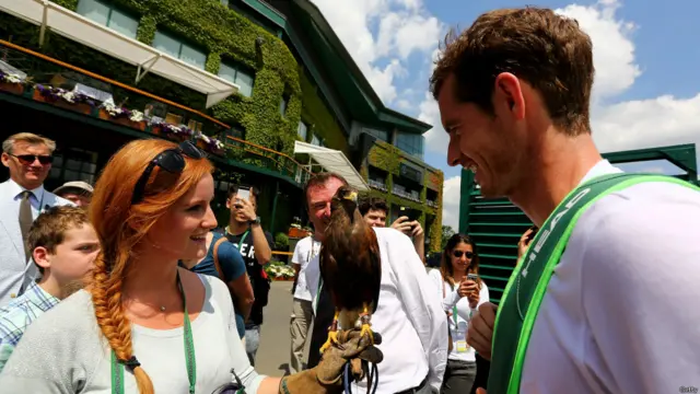 हैरिस, बाज़, रूफ़स, विंबलडन