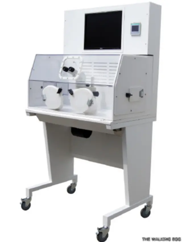 incubadora portátil