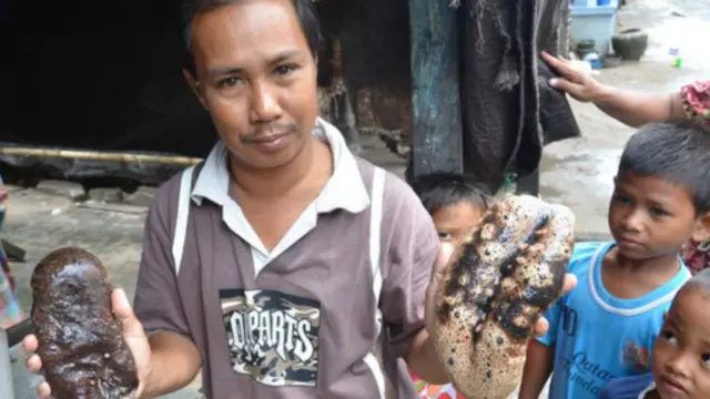 صياد يعرض نوعين من خيار البحر. 