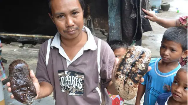 سمندری ککڑیاں