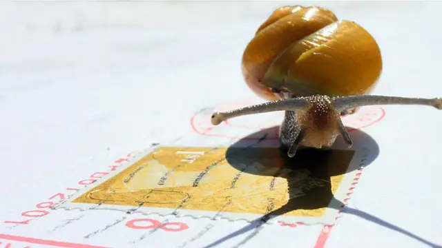 यह तस्वीर वुडब्रिड स्थित मेरे माता-पिता के घर में ली गई - एडवर्ड मॉर्टिमर