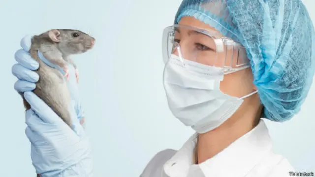 Ветеринар с крысой