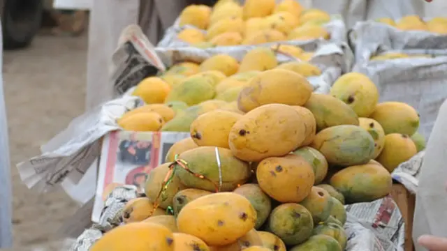 پاکستان میں پلا بڑھا، امریکہ کا ہر روز ذکر سنا تو سوچا امریکہ چلتے ہیں