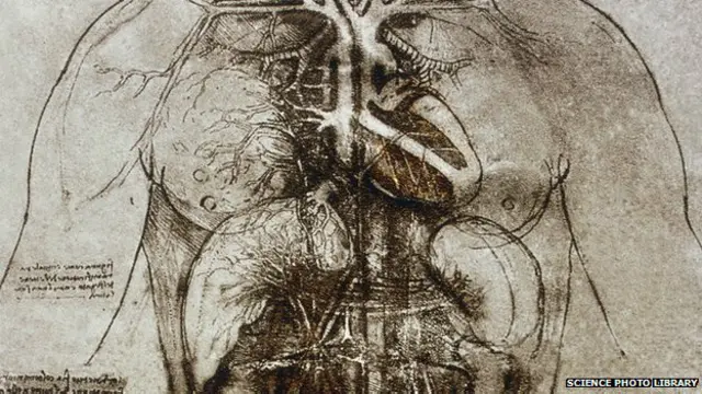 लियोनार्डो डी विंची का एक चित्र 