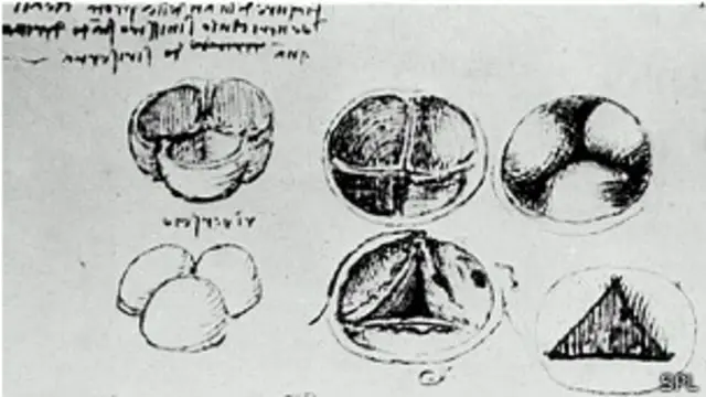 Leonardo utilizó cera caliente para hacer moldes de las válvulas del corazón. 