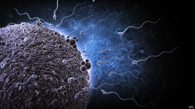 Джианна майклз сперма: 49 видео в HD