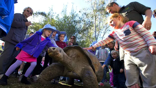 ऑस्ट्रेलिया सरीसृप पार्क, विशालकाय कछुआ