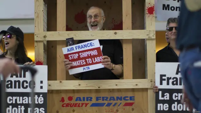 पेटा, प्रदर्शन