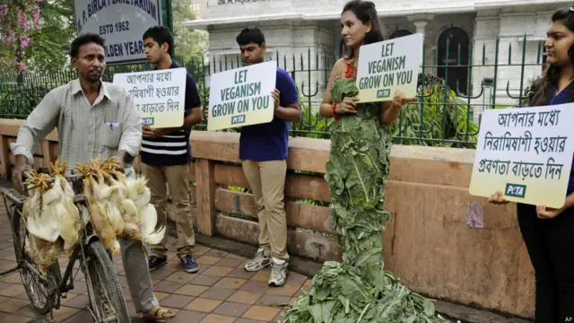 पेटा, प्रदर्शन