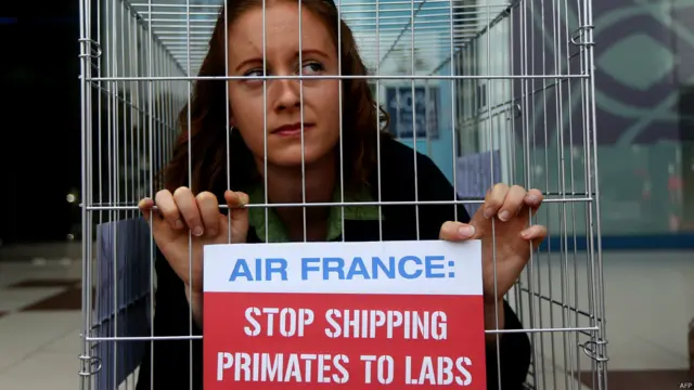 पेटा, प्रदर्शन