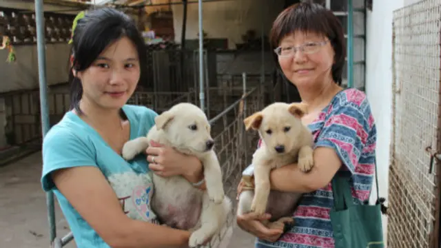 Foto: Peter Li/AP for HSI