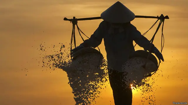 Petani garam bisa mandapat keuntungan hingga empat kali panen tambahan