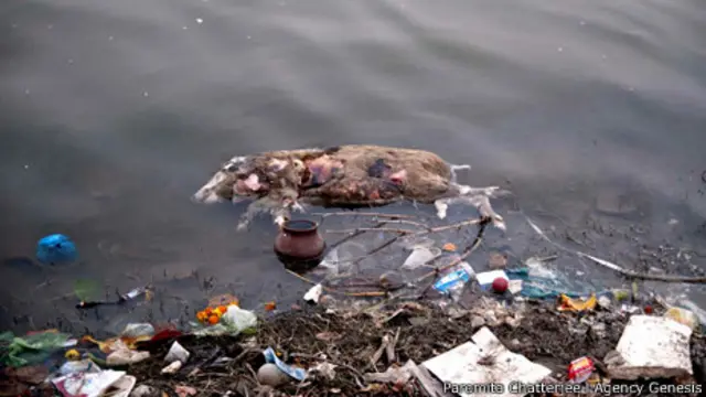 Orilla del río Ganges