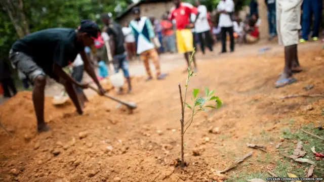 Takriban watu 600 wamefariki kutokana na homa ya Ebola Afrika Magharibi