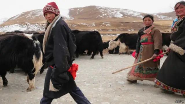 يتطابق الحمض النووي لسكان مرتفعات التبت مع ذلك الحمض الذي عُثر عليه في سلالة "دينيسوفا" القديمة.