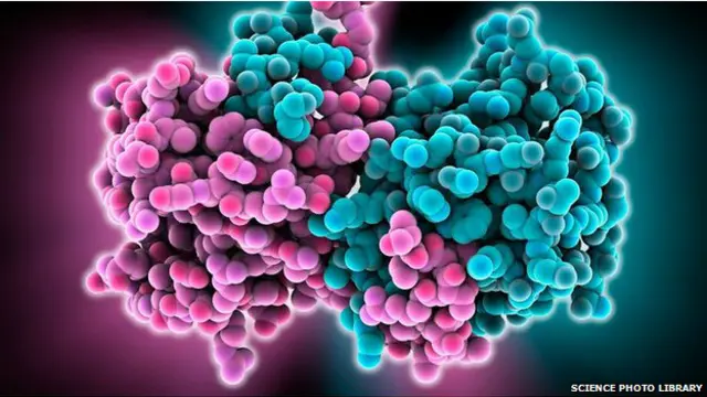 لا يوجد مصل أو علاج للفيروس حتى الآن.