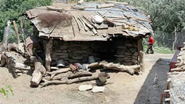 عکس مرجان امیررحیمی، صفحه اول فرهیختگان