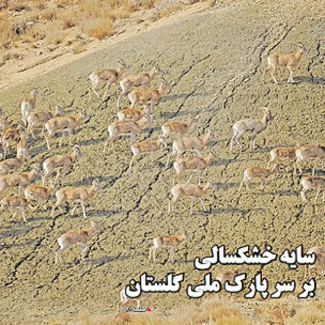 تیتر و عکس صفحه روزنامه ایران