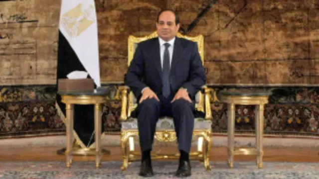 ریٹائرڈ فوجی جنرل السیسی نے گذشتہ سال جولائی میں پہلے جمہوری طور پر منتخب صدر محمد مرسی کو ان کے خلاف احتجاج کے بعد معزول کر دیا تھا