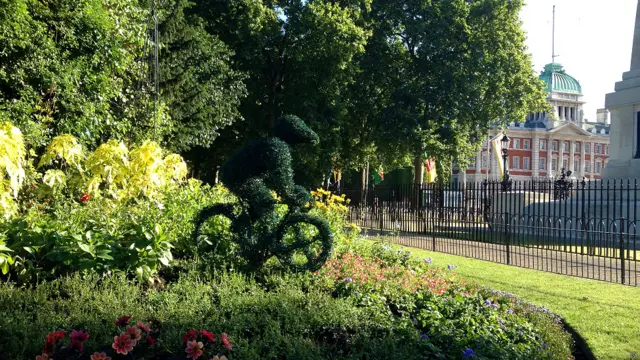 在伦敦市中心的圣詹姆士公园，细心的园丁匠心独运地把一颗植物剪成一名正在骑行的自行车运动员，堪称应景之作。