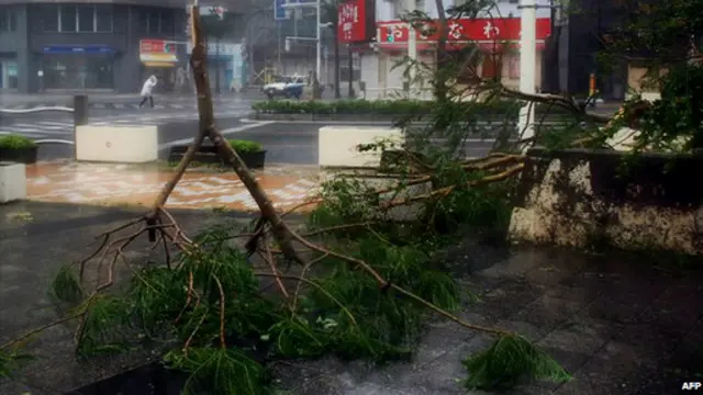 درخت شکسته از توفان نئوگوری