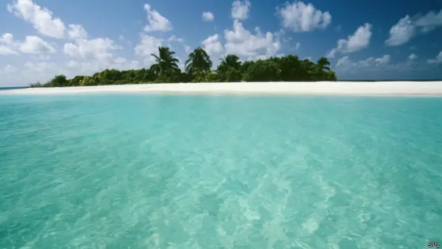 30-летнего Романа Селезнева, сына депутата Госдумы, спецслужбы США арестовали на Мальдивах