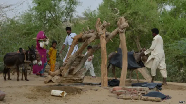 تھر سندھ کے جنوبی اضلاع میں شامل ہے جو مسلسل قحط سالی کی جکڑ میں ہے