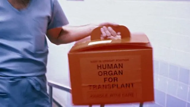 عمليات زراعة الأعضاء في زيادة مستمرة