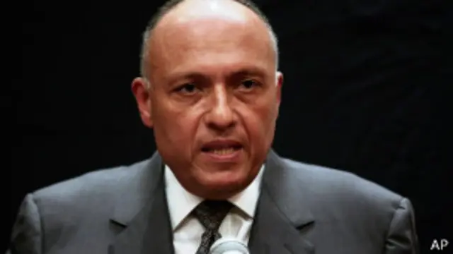 وزير الخارجية المصري سامح شكري