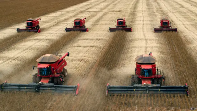 Colheita de soja (AFP)