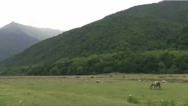 جارجیا میں پانکسی کا علاقہ خبوصوری قدرت مناظر کے لیے مشہور تھا مگر اب یہ جہادیوں کا مسکن ہے