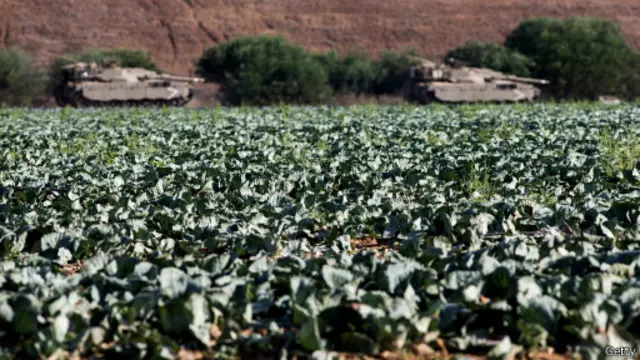الوضع على حدود غزة لا يزال متوترا، وهناك احتمال بدء عملية برية.