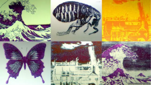Imagens microscópicas (Universidade Oxford)