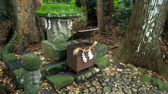 Ofrenda en el camino