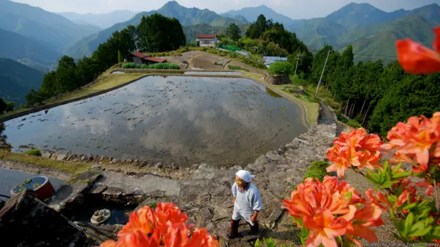 Mujer delante de un Osen