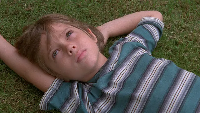 نال فيلم صبا "بويهود" على ستة ترشيحات أوسكار هذا العام. 