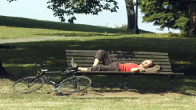 A person sleeping on a park bench