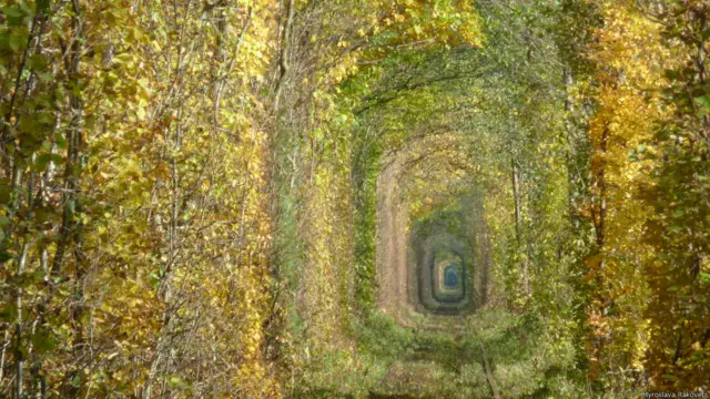 خو په سیالۍ کې د ټولو شاملو ځایونو انځورونه په سیالي کې شامل نه و، د بیلګې په توګه کلیوان کې موقعیت درلودونکی ( لوو تونل ) 