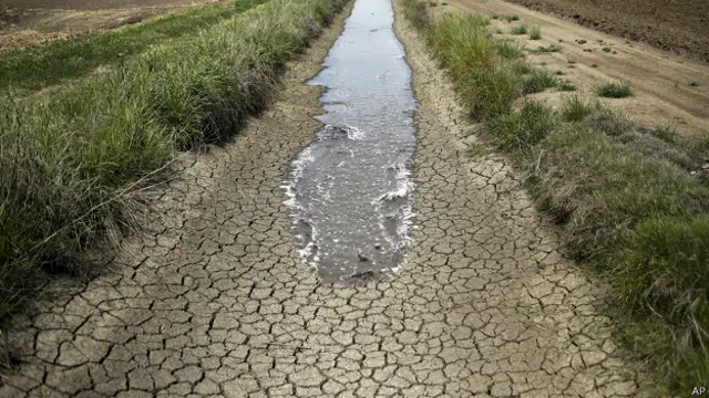 Campo en Richvale, California