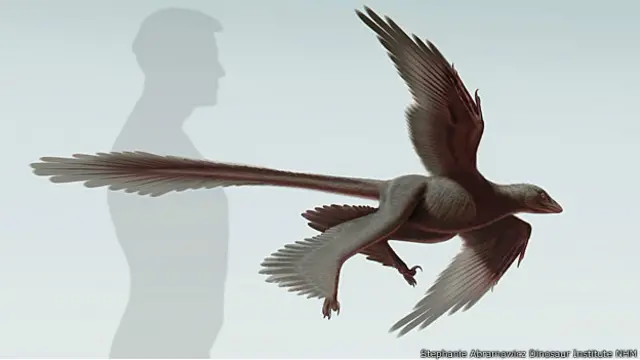 डायनोसॉर