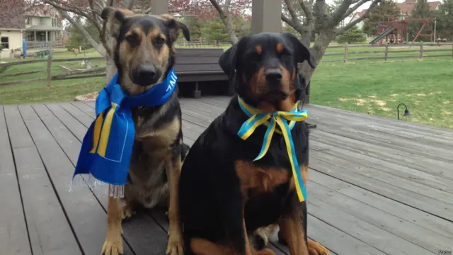 Український прапор