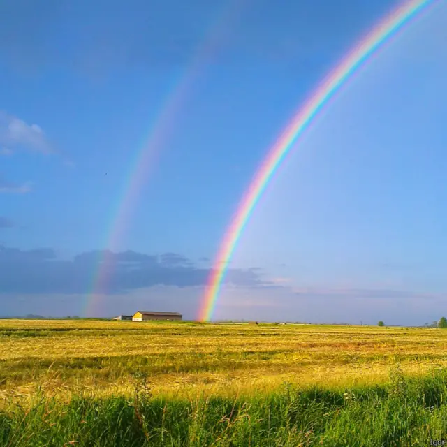 Український прапор