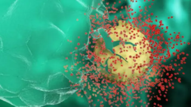 ایچ آئی وی وائرس ایڈز کے مرض کا ذمہ دار ہے جو کہ انسان کے مدافعتی نظام کو تباہ کر دیتا ہے