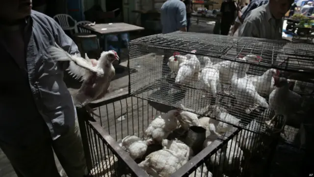 Jualan ayam di Gaza City