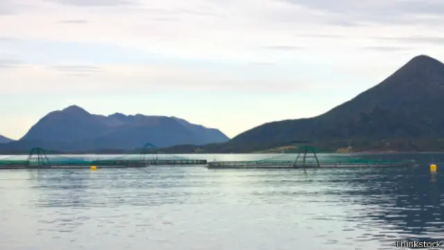Piscifactoría en Noruega