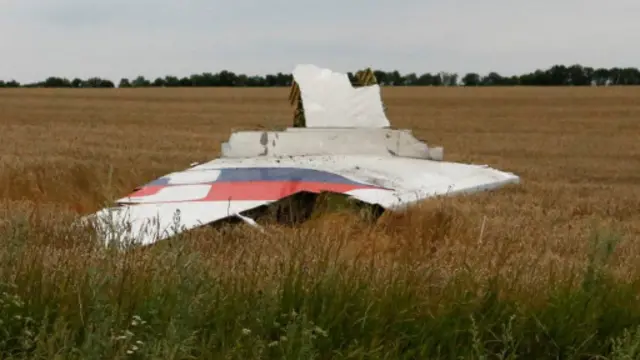 بال هواپیما با علامت خطوط هوایی مالزی در نزدیک دهکده گرابوو