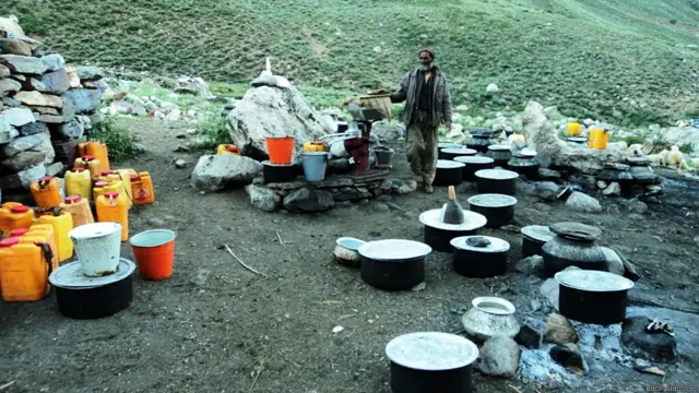 دا ټول لوښي هرسهار له شیدو ډکیږي.