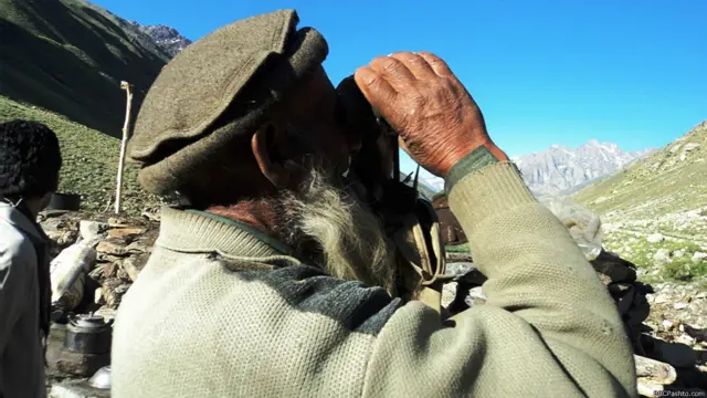 په دې دوربین کې غره ته شړل شوي څاروي څاري